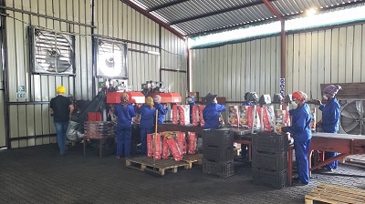 Vorbildliche Grillkohlen Produktion in Namibia, Foto: Heike Möller